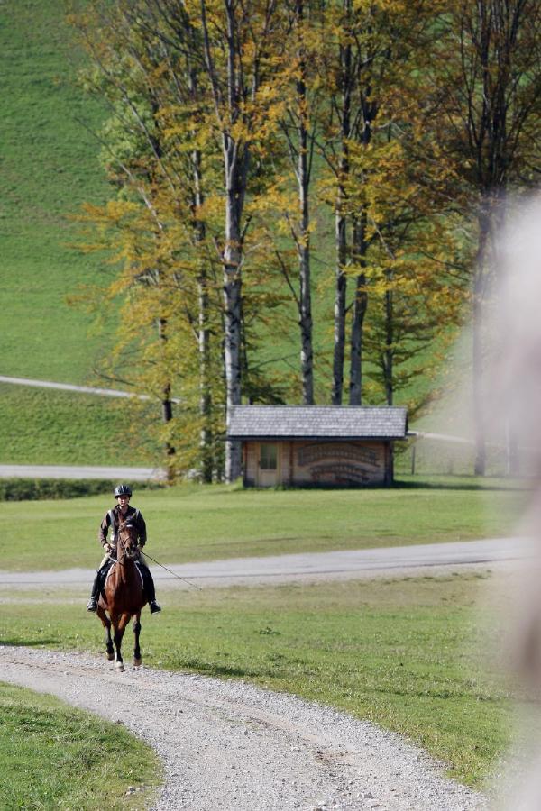 Gasthof Jagersberger Hollenstein an der Ybbs Екстер'єр фото